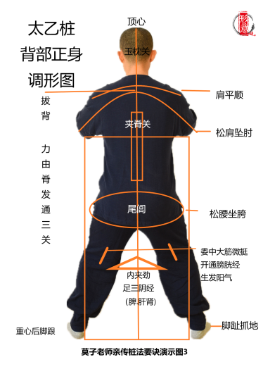 太乙桩背面图：拔背、松腰、足底抓地。