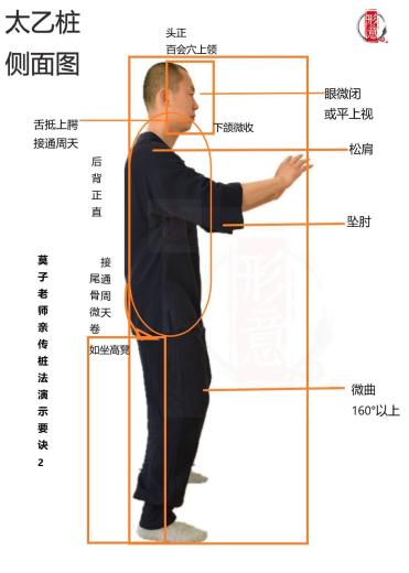 太乙桩侧面图：头正、松肩、坐胯。